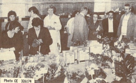 1985