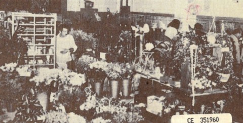 1987